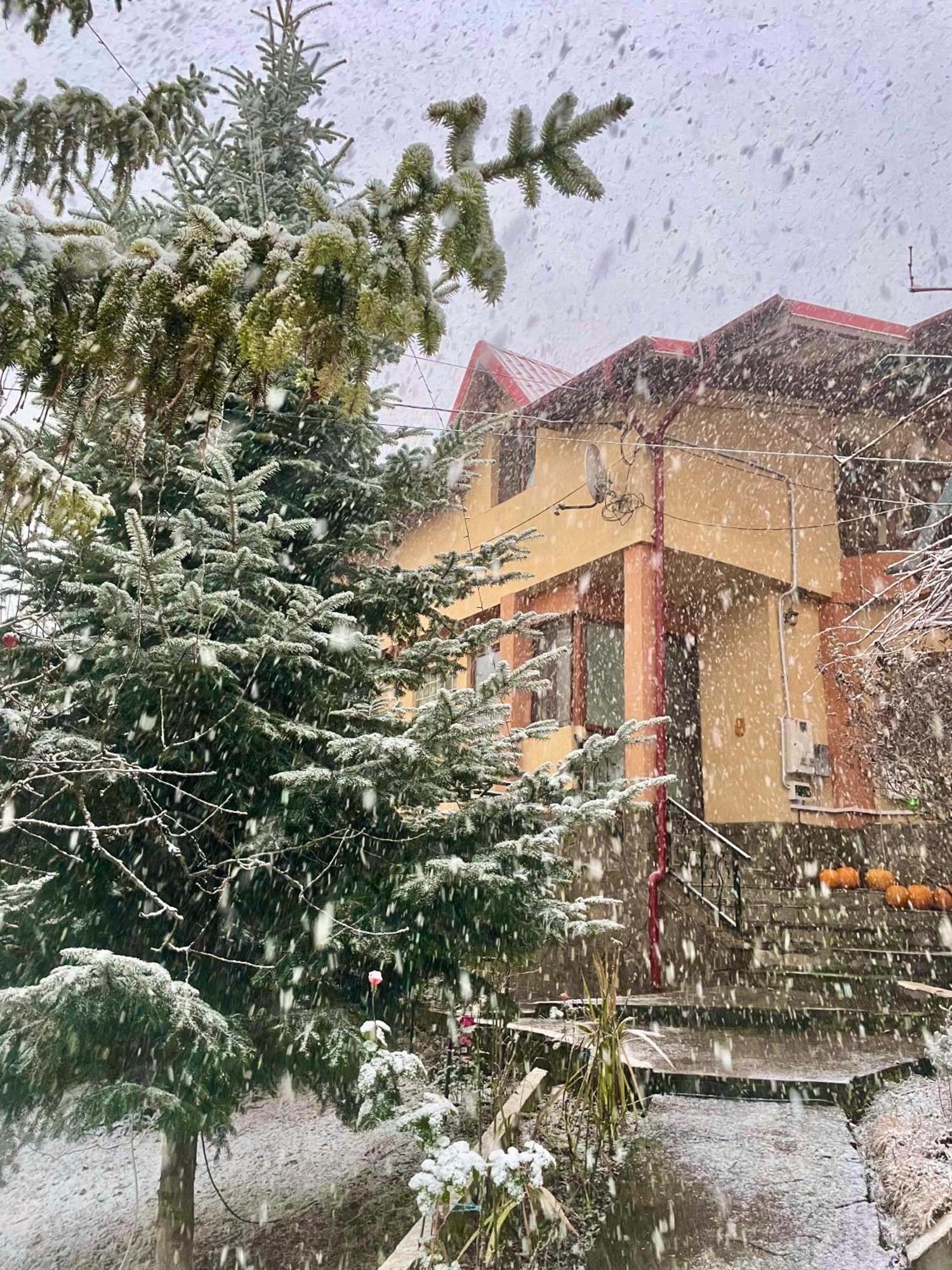 Pensiunea PORTAS RESORT Slănic Exterior foto