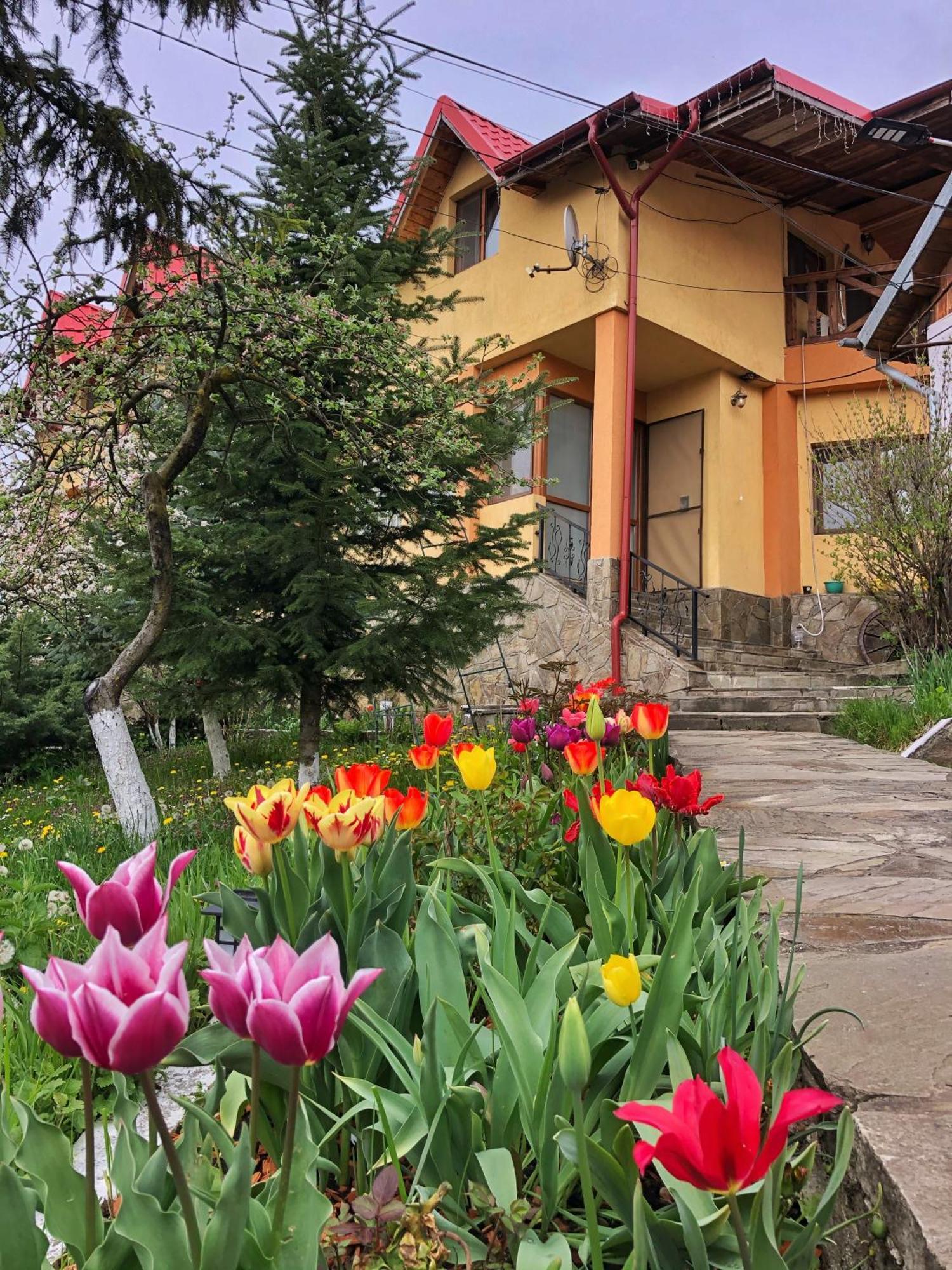 Pensiunea PORTAS RESORT Slănic Exterior foto